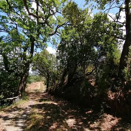 Rum i privatbostad Casetta In Campagna Santa Maria Del Cedro